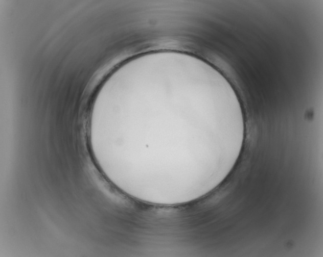 X0000113131043200910161127