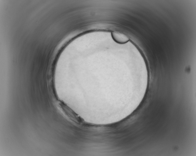 X0000113131045200910161127