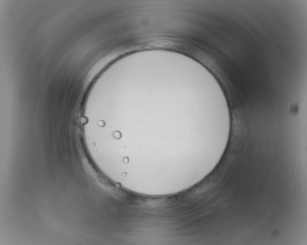 X0000113131047200910161127