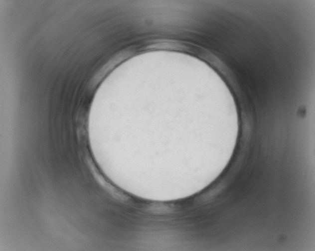 X0000113131049200910161127