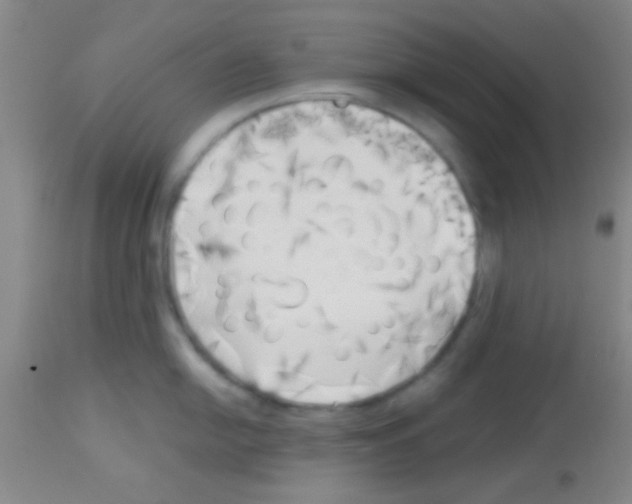 X0000113131054200910161128