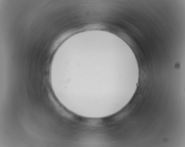 X0000113131055200910161128