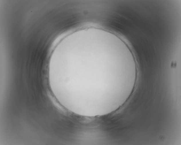 X0000113131056200910161128