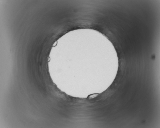 X0000113131057200910161127