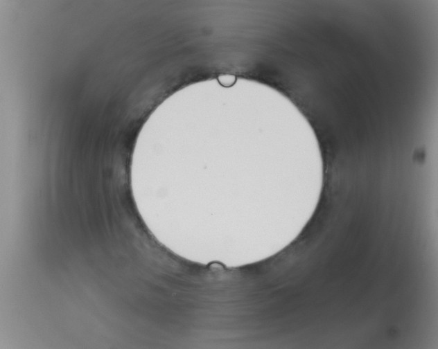 X0000113131058200910161127