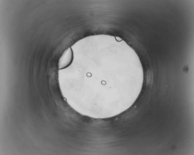 X0000113131059200910161127