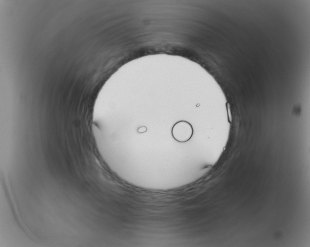 X0000113131060200910161127