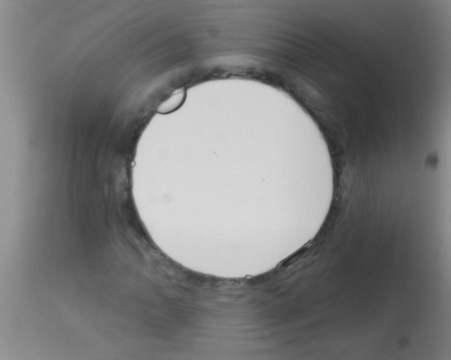 X0000113131062200910161127