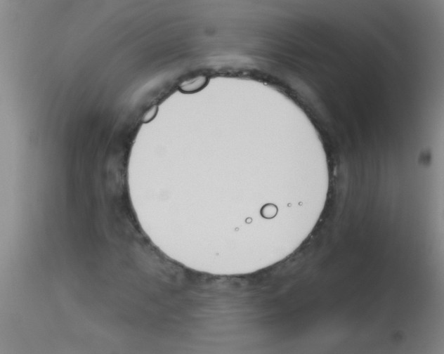 X0000113131063200910161127