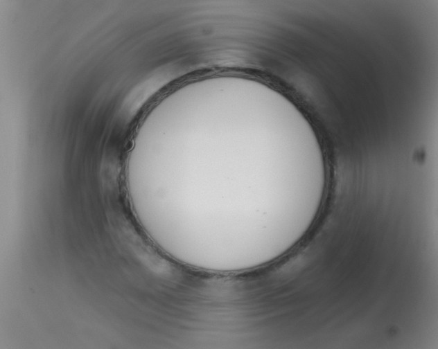 X0000113131065200910161127