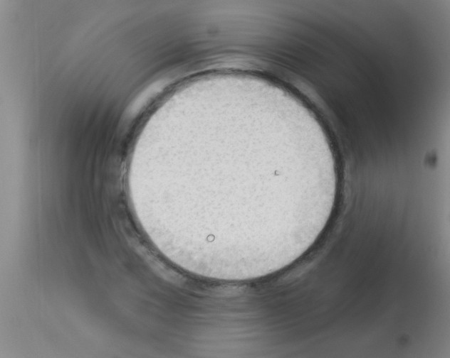 X0000113131067200910161127