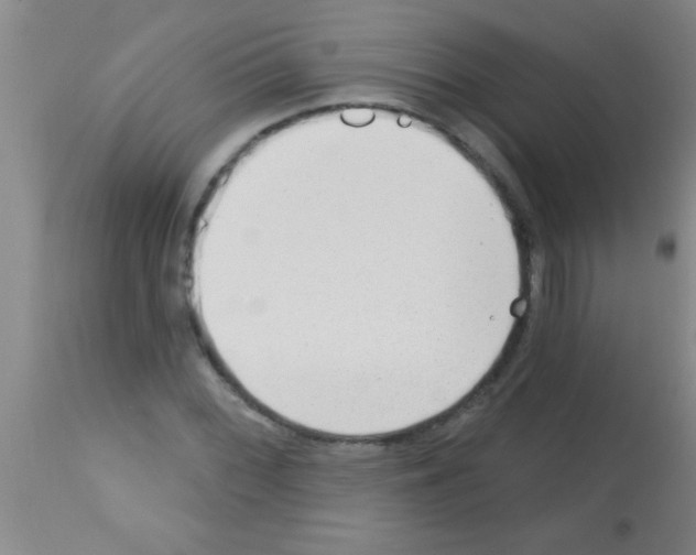 X0000113131068200910161127