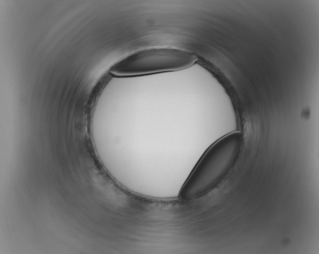 X0000113131069200910161127