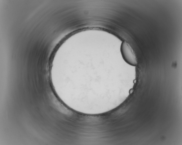 X0000113131076200910161126