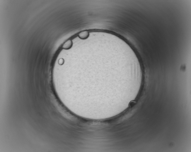 X0000113131077200910161126