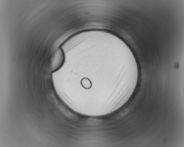 X0000113131081200910161126