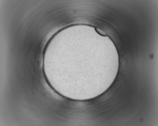 X0000113131084200910161126