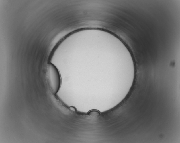 X0000113131085200910161126