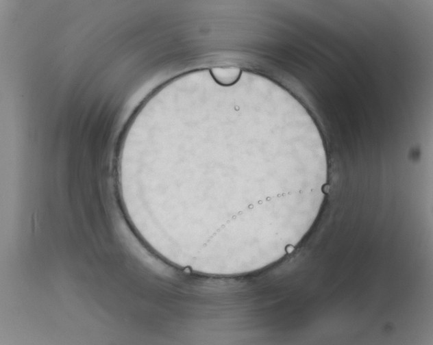 X0000113131091200910161126