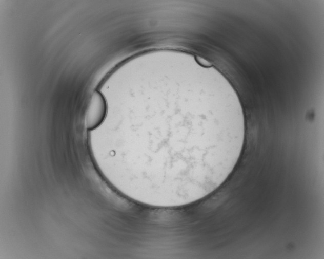 X0000113131092200910161126