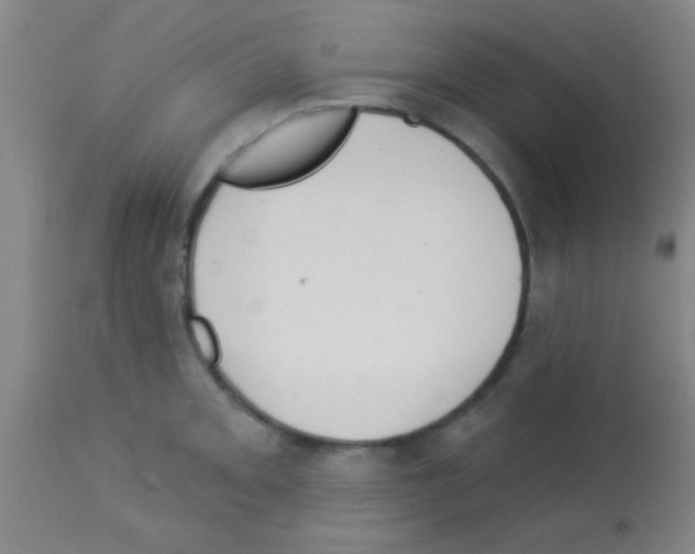 X0000113131093200910161126