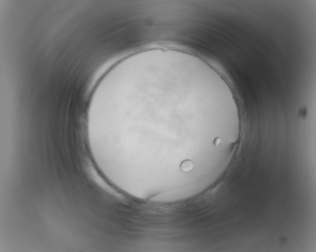 X0000113131100200910161126