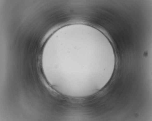 X0000113131101200910161126