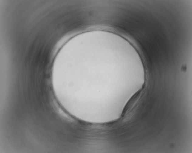 X0000113131102200910161126