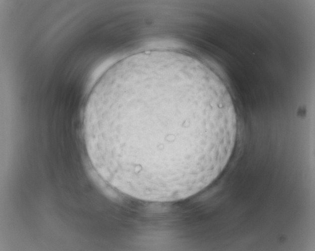 X0000113131103200910161126