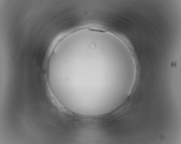 X0000113131104200910161126