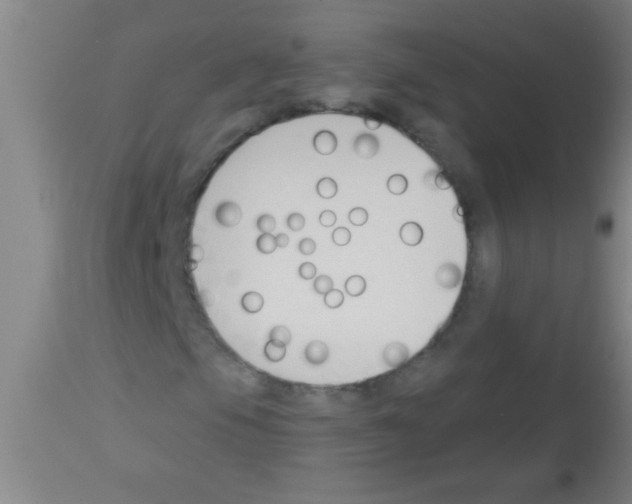 X0000113131105200910161125