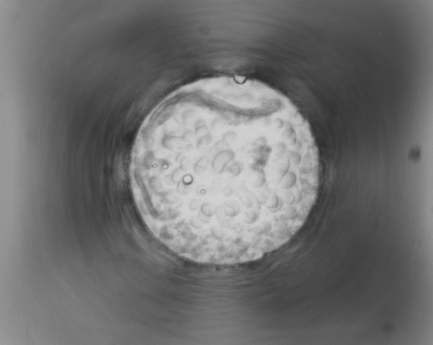 X0000113131106200910161125