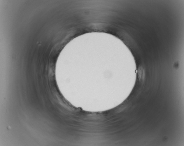 X0000113131107200910161125