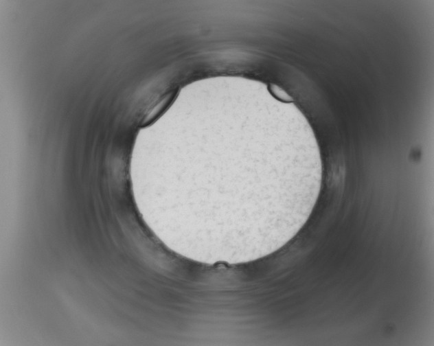 X0000113131108200910161125