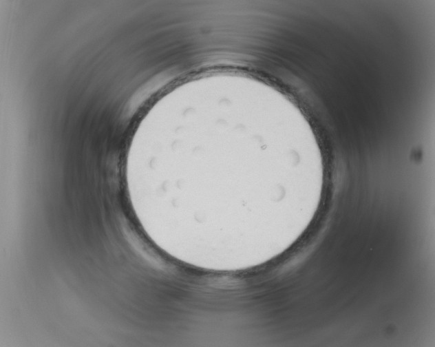 X0000113131113200910161126