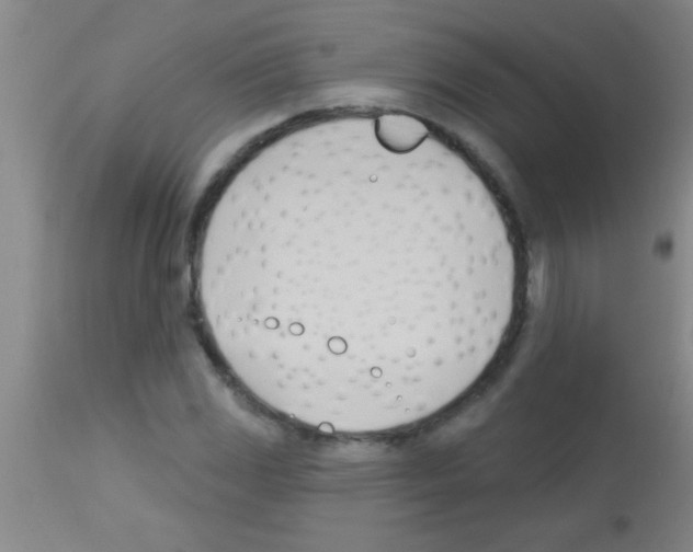 X0000113131117200910161126