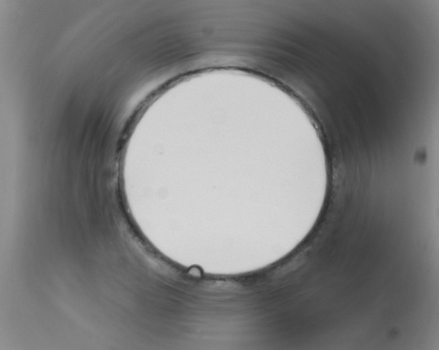 X0000113131119200910161126