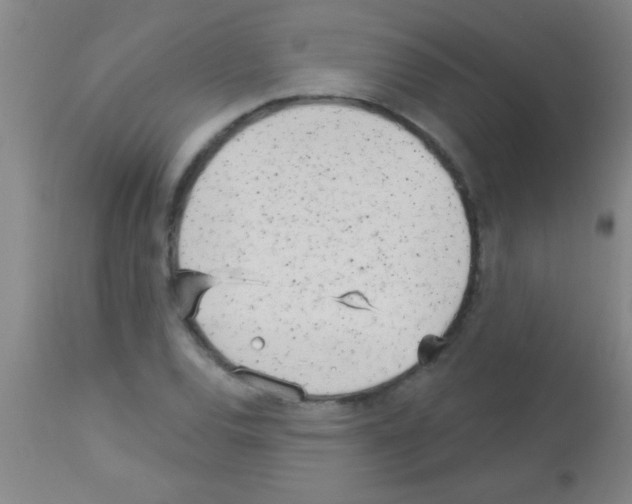 X0000113131120200910161126