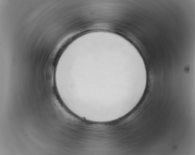 X0000113131123200910161126