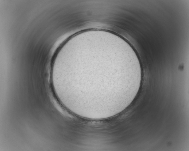 X0000113131128200910161126