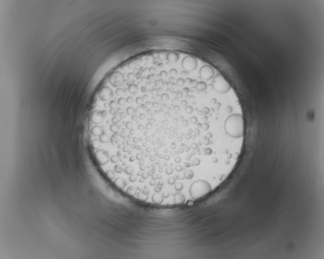 X0000113131130200910161126