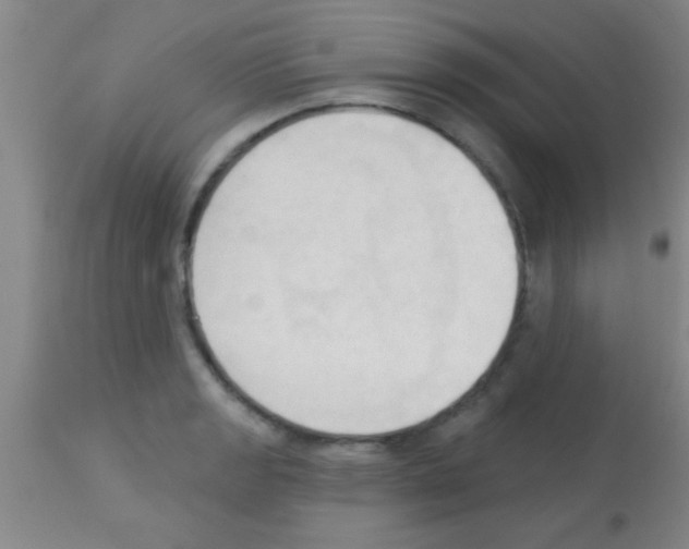 X0000113131133200910161126