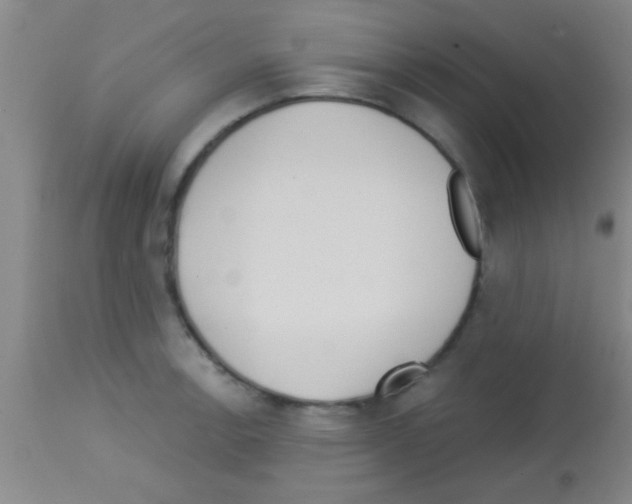 X0000113131138200910161126