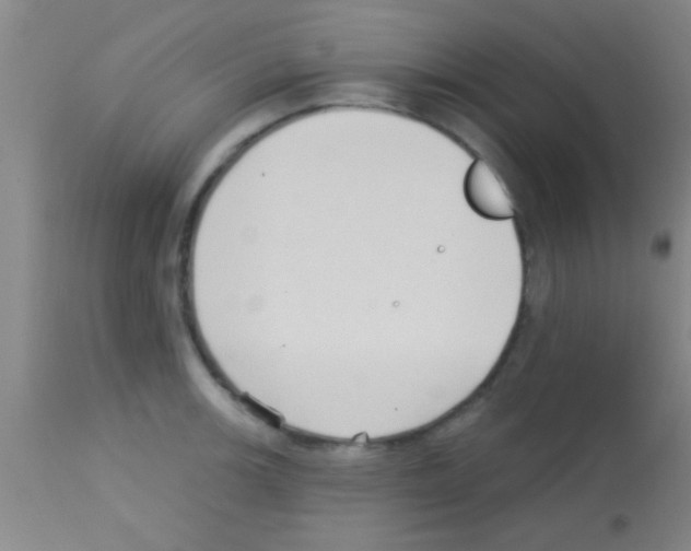 X0000113131139200910161126