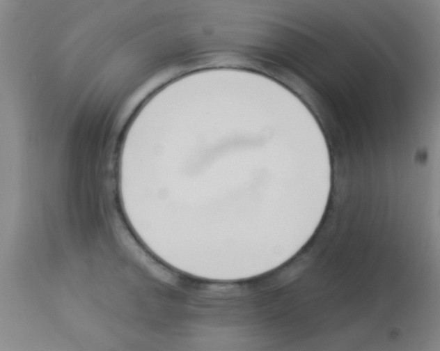 X0000113131142200910161126