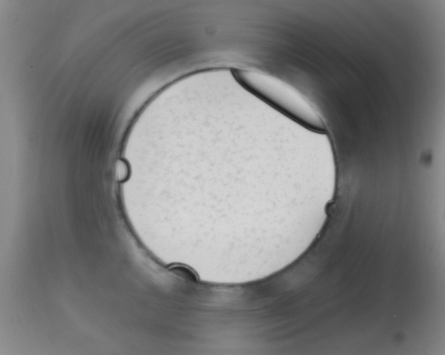 X0000113131144200910161126