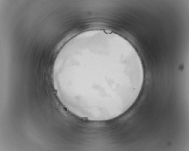 X0000113131145200910161126