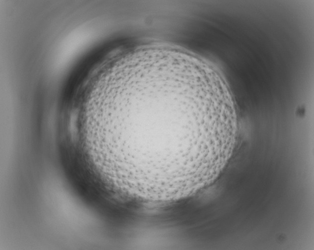 X0000113131150200910161126