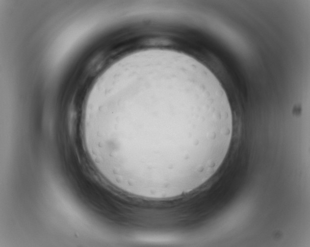 X0000113131151200910161126