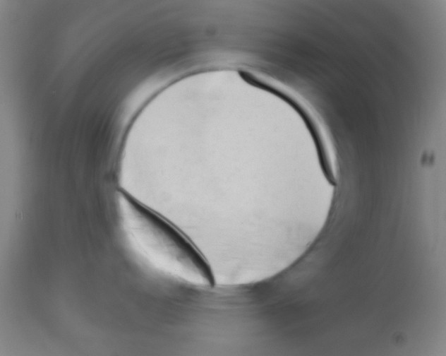 X0000113131152200910161126